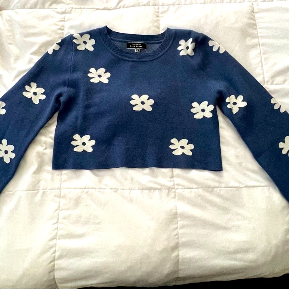 Super cute cropped sweater